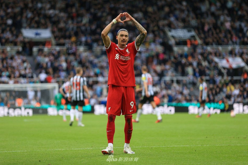 武切维奇 武切维奇